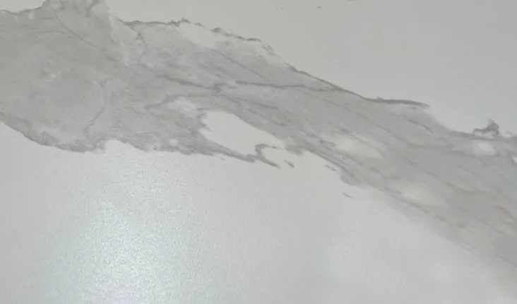 Chapa de Lâmina Arabescato Corchia, lâmina de baixa espessura com desenho de veios largos sobre fundo claro